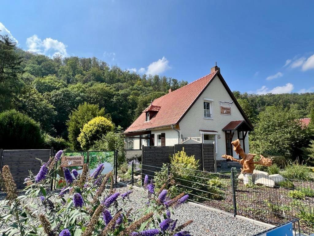 Traumhaus Thale Mit Sauna Und Kamin Exteriör bild
